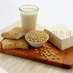 福樂食品貿易 產品展示、國內代理與市場口碑深度解析