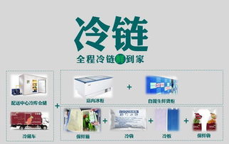 壹天一參史紅新 破解生鮮O2O困局，打造高端滋補(bǔ)品國內(nèi)貿(mào)易代理新標(biāo)桿